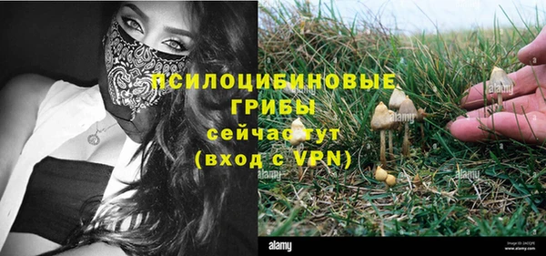 гидропоника Калининец