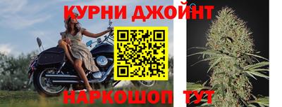 тгк Дубна